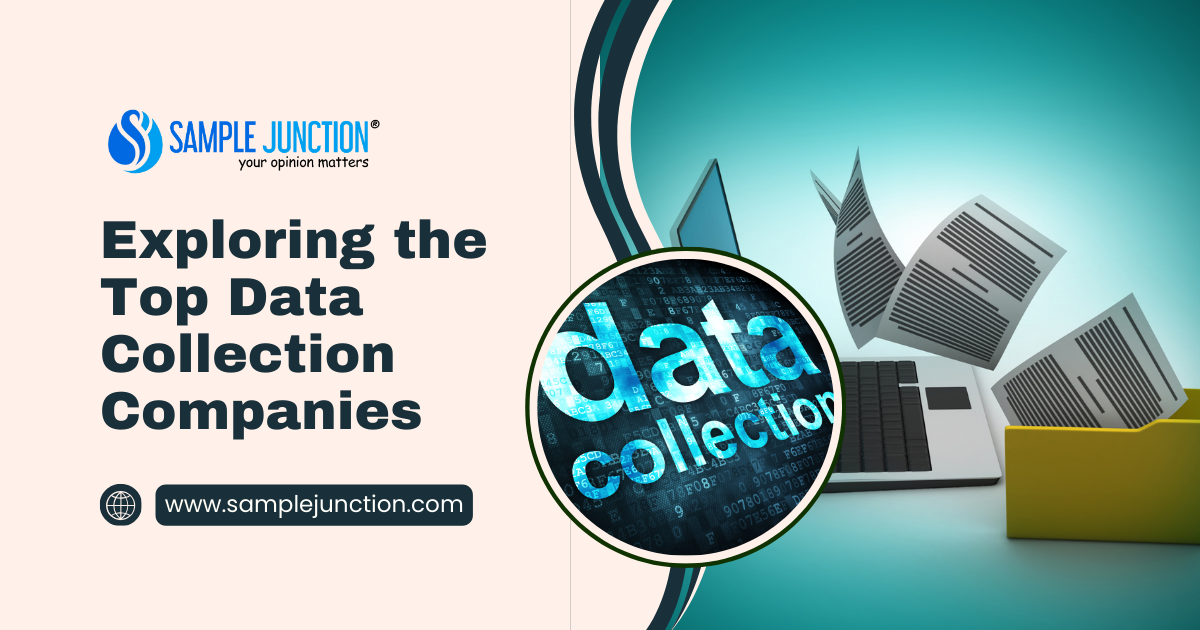 Exploring the Top Data Collection Companies
